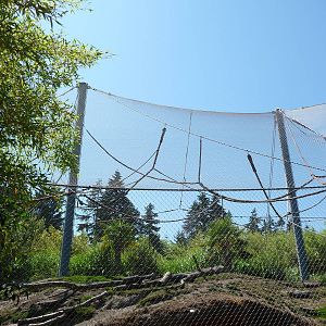 Asian Forest Sanctuary - Scrub Forest