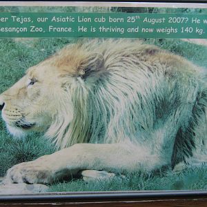 Tejas update plaque 3.8.09