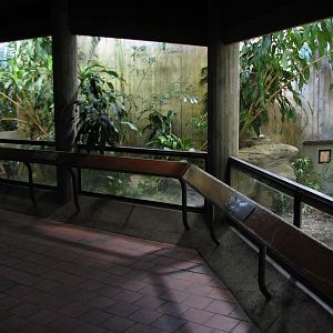 Day and Night - Caiman Exhibit