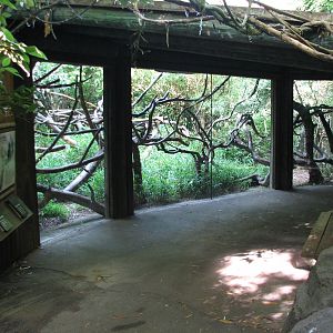 Tropical Asia - Lion Tailed Macaque Exhibit