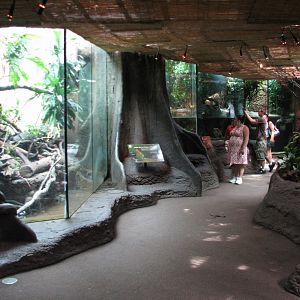 Tropical Rain Forest - Building Interior