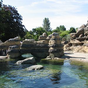 Humboldt Penguin Exhibit