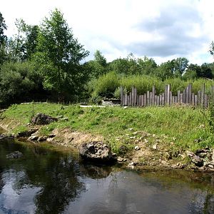 GaiaPark - Beaver exhibit