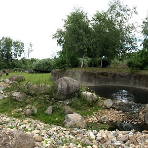 GaiaPark - Musk ox enclosure