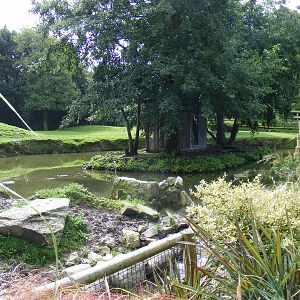Brazilian tapir enclosure and pied tamarin island at Newquay Zoo, 1 August