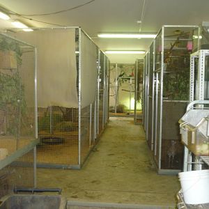 Behind the scenes: Bird section