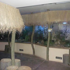 Nocturnal House Inside