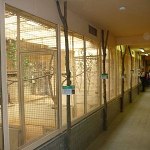 Rodent & Bird Section