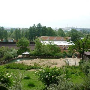 New African Pavillion (background)