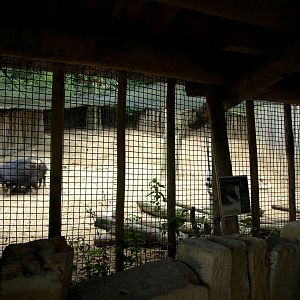 GaiaPark - Peccary exhibit