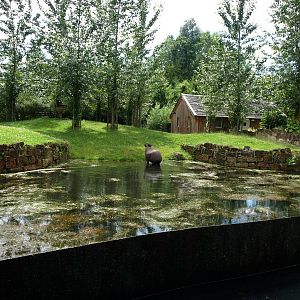 GaiaPark - Tapir exhibit