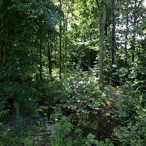 GaiaPark - Squirrel monkey island