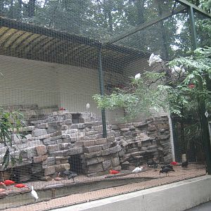 Wuppertal Zoo - Ibis aviary