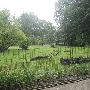 Dortmund Zoo - South america