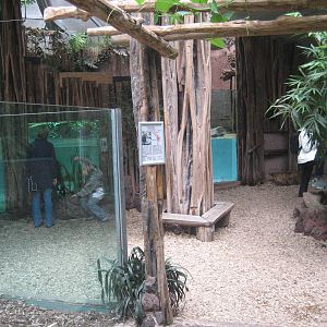 Dortmund Zoo - Otter house