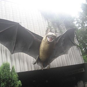 Frankfurt Zoo - Grzimek House