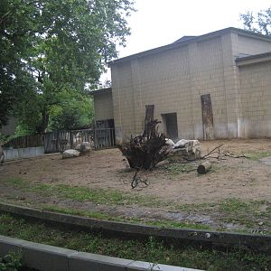 Frankfurt Zoo - Rhino outdoor exhibit