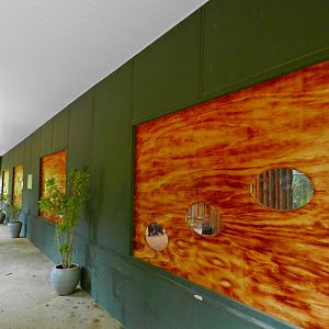 Wallaby exhibit - Zooparque Itatiba