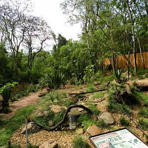 Maned wolf exhibit - Zooparque Itatiba
