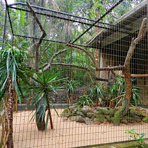 Black-and-white ruffed lemur exhibit - Zooparque Itatiba