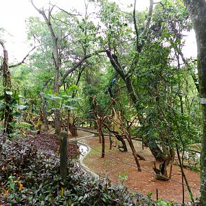 Macaw islands - Zooparque Itatiba