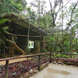 Future wreathed hornbill exhibit - Zooparque Itatiba