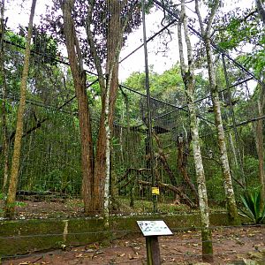 Amazon trail, harpy eagle exhibit - Zooparque Itatiba