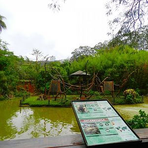 Capuchin monkey and spectacled caiman exhibit - Zooparque Itatiba