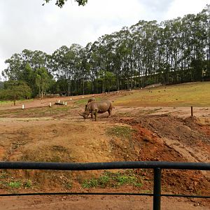 Savanna exhibit - Zooparque Itatiba