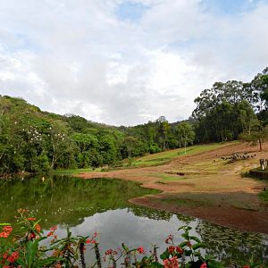 Savanna exhibit - Zooparque Itatiba