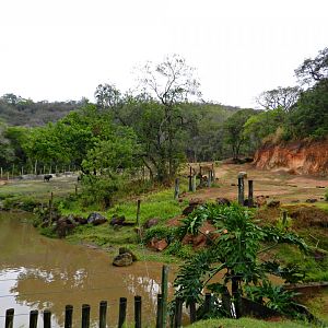 Elephant, hippo and buffalo paddock - Zooparque Itatiba