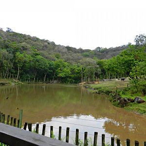 Elephant, hippo and buffalo paddock - Zooparque Itatiba