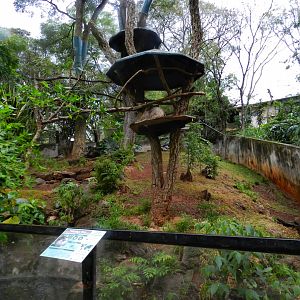 Two-toed sloth exhibit - Zooparque Itatiba