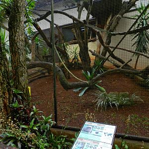 Tinamou and titi monkey exhibit - Zooparque Itatiba