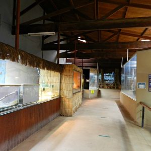 Indoor exhibits - Zooparque Itatiba