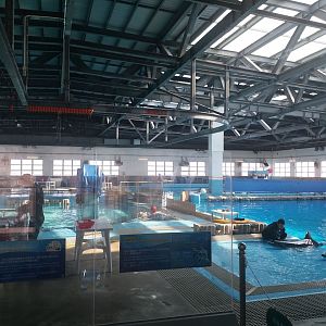 Dolphin breeding facilities