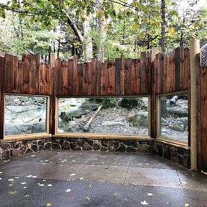 New Gray Wolf Viewing Area