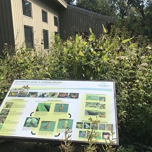 Richardson Nature Center - Butterfly Garden