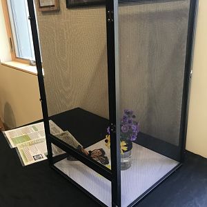 Richardson Nature Center - Monarch Butterfly Exhibit