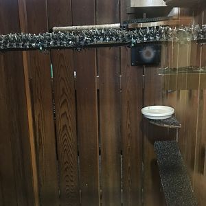 Richardson Nature Center - American Kestrel Exhibit