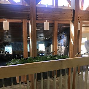 Richardson Nature Center - Overview of Main Hall