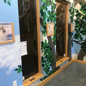 Richardson Nature Center - Raptor Mews