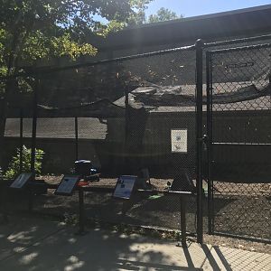 Richardson Nature Center - Broad-Winged Hawk/American Kestrel/False Map Turtle/Painted Turtle Exhibit