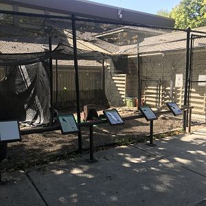 Richardson Nature Center - Broad-Winged Hawk/American Kestrel/False Map Turtle/Painted Turtle Exhibit