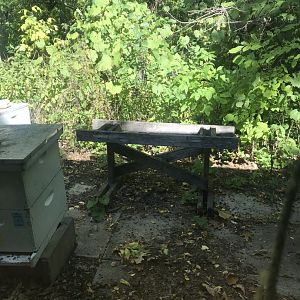 Richardson Nature Center - Italian Honey Bee Colony