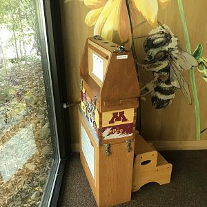 Richardson Nature Center - Italian Honey Bee Colony