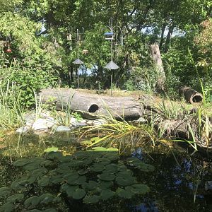 Richardson Nature Center - Nature Display