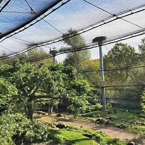 'Bird Paradise' Aviary