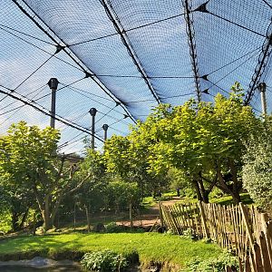 'Bird Paradise' Aviary