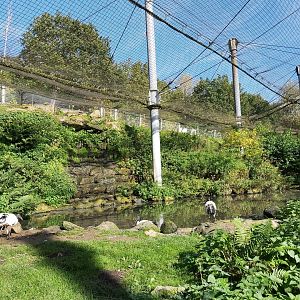 'Bird Paradise' Aviary